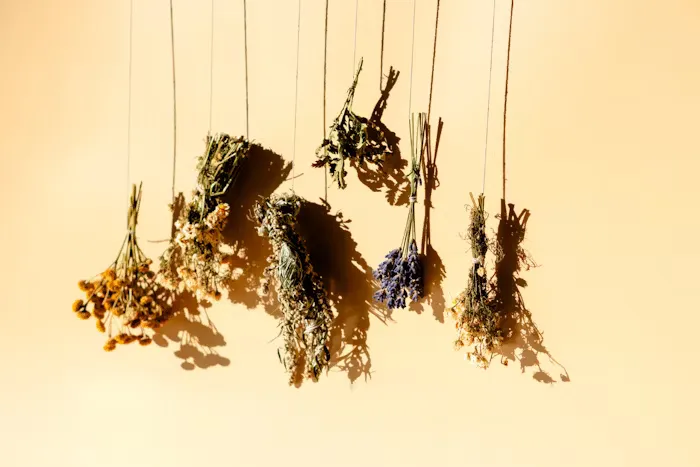 Whisks, Scrubs, and Aromatherapy