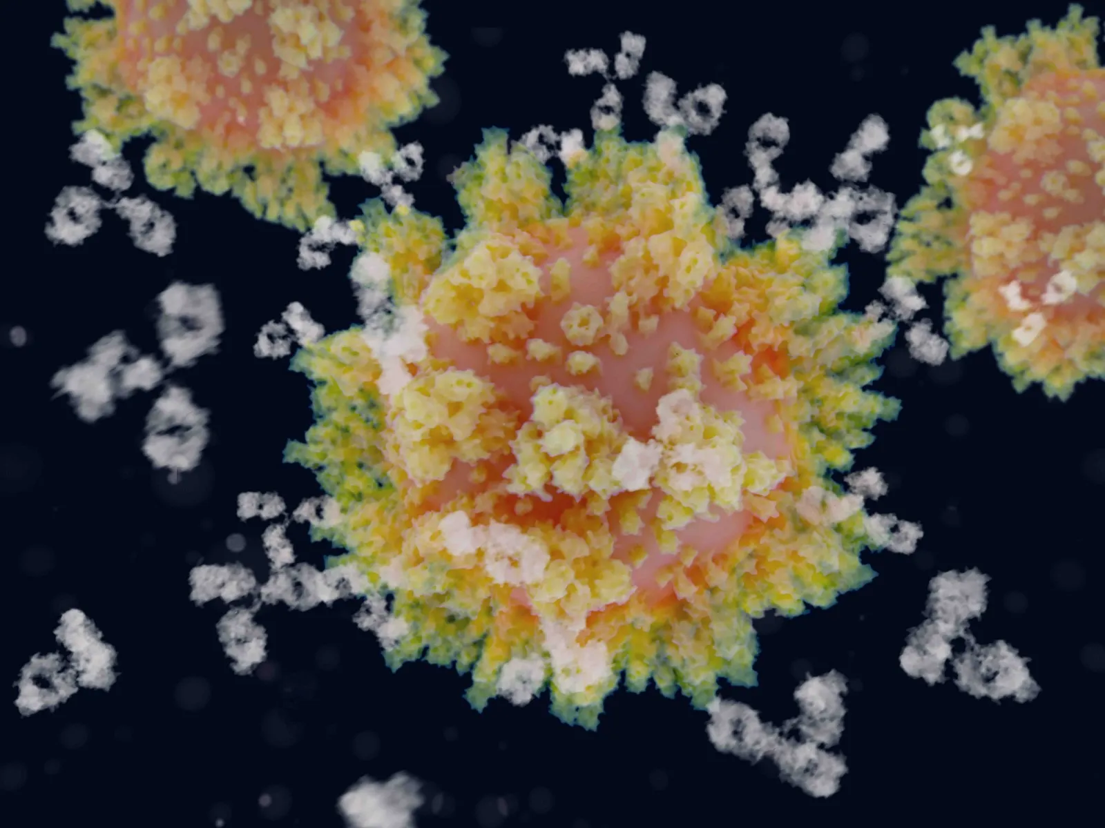 Immune System Activation