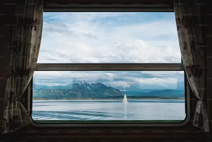 Check Windows and Doors