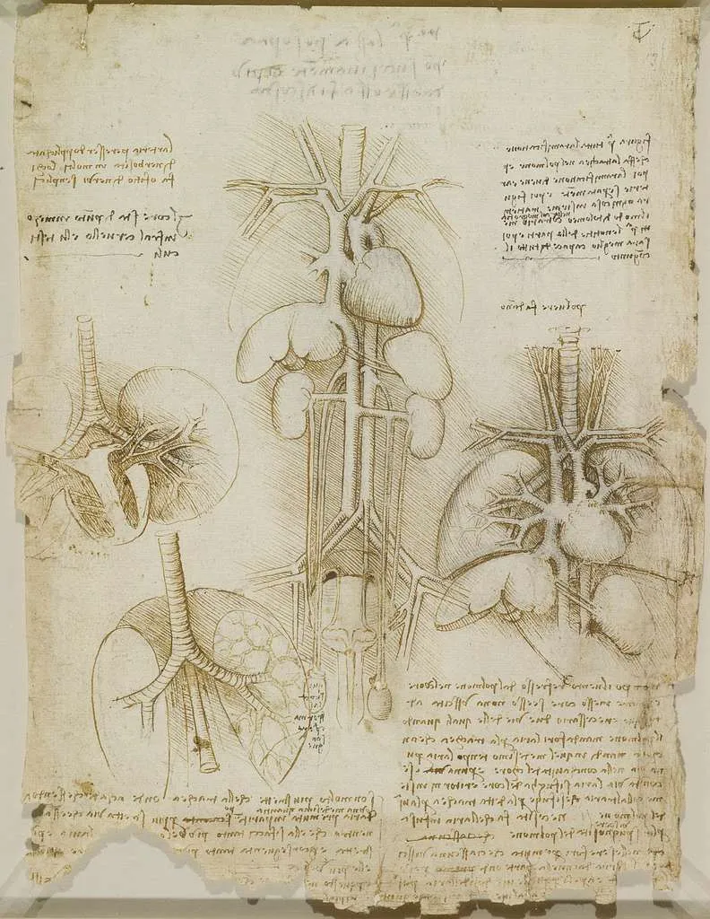 Respiratory Health