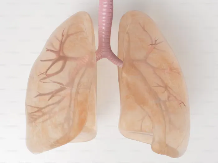 Long-Term Impact on Respiratory Conditions
