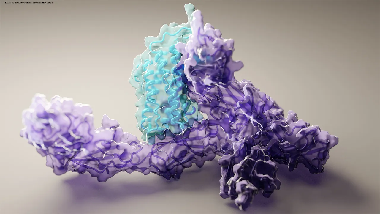 Aging Mechanisms