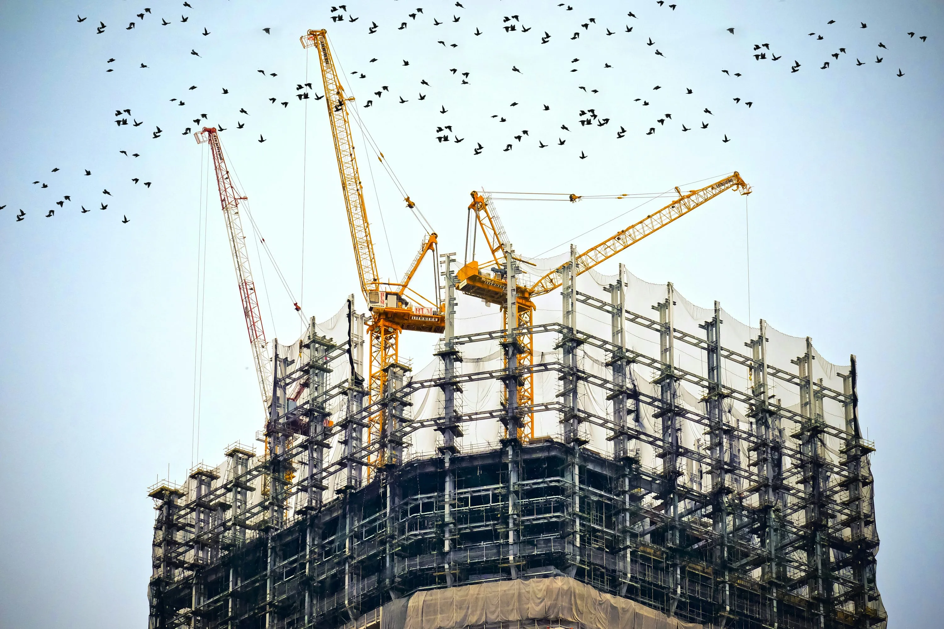 Execute the Build