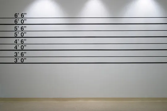 suspect 2: the walls